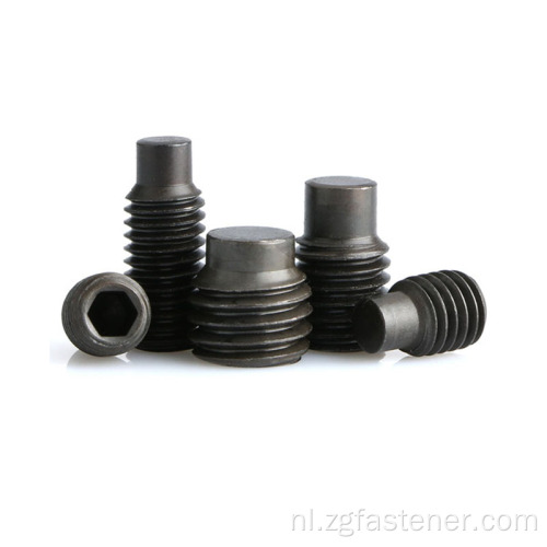 Zwarte oxide hex socket set schroeven met hondenpunt din915